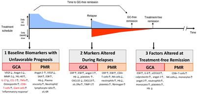 Biomarkers in the era of targeted therapy in giant cell arteritis and polymyalgia rheumatica: is it possible to replace acute-phase reactants?